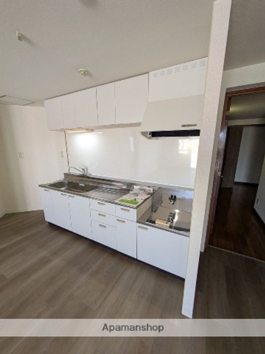 広島県広島市西区三滝本町2丁目の賃貸マンションのキッチン