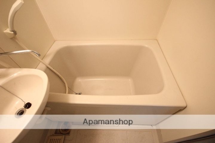 広島県広島市中区舟入幸町の賃貸マンションの内装