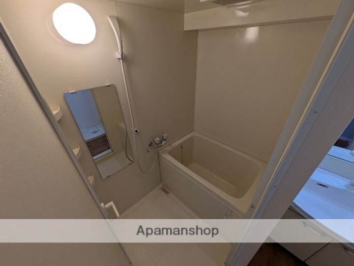 広島県広島市中区東平塚町の賃貸マンションの風呂