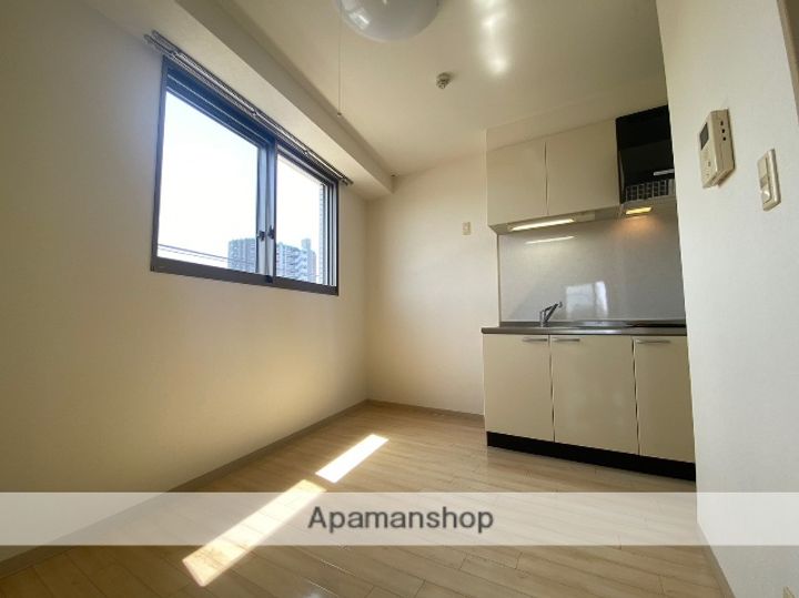 広島県廿日市市廿日市2丁目の賃貸マンションの内装