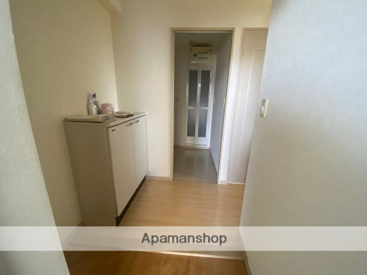 広島県廿日市市廿日市2丁目の賃貸マンションの内装