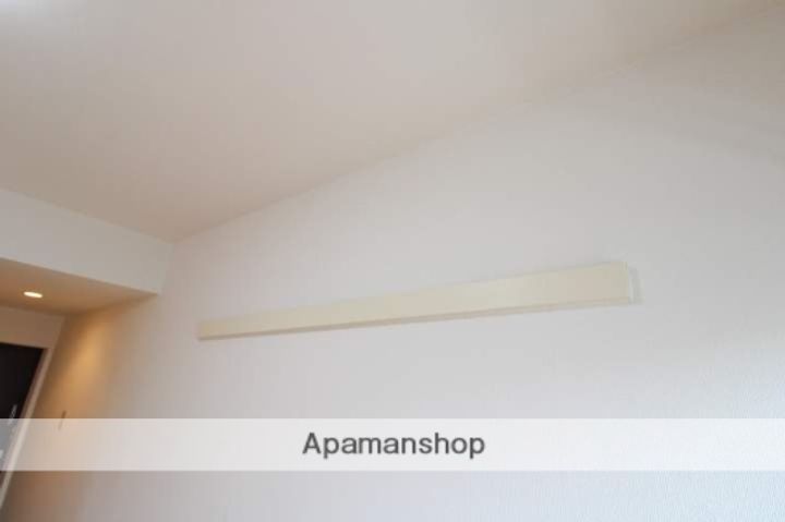 広島県広島市西区楠木町4丁目の賃貸マンションの内装