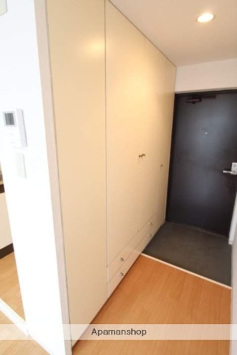 広島県広島市西区楠木町4丁目の賃貸マンションの内装