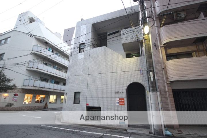 広島県広島市中区橋本町の賃貸マンションの外観