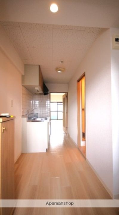 広島県広島市安佐南区緑井2丁目の賃貸マンションの内装