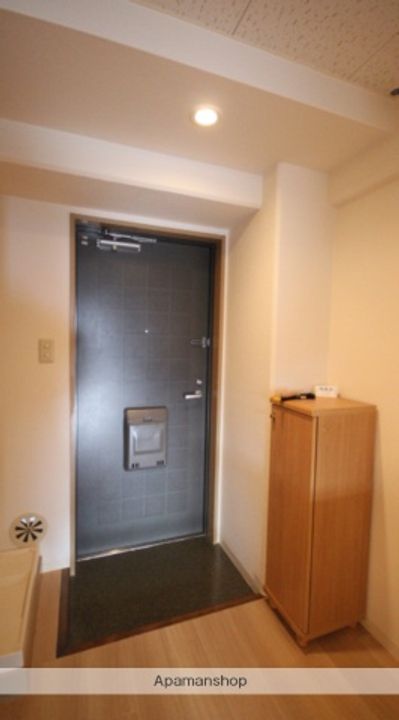 広島県広島市安佐南区緑井2丁目の賃貸マンションの玄関