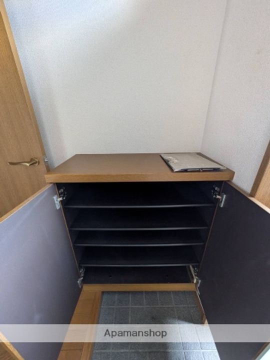 広島県広島市安佐南区緑井3丁目の賃貸マンションの内装