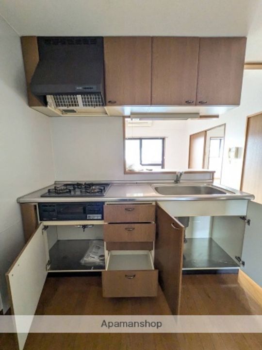 広島県広島市安佐南区緑井3丁目の賃貸マンションの内装