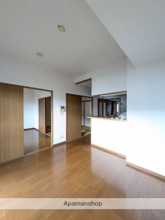 広島県広島市安佐南区緑井3丁目の賃貸マンションの内装