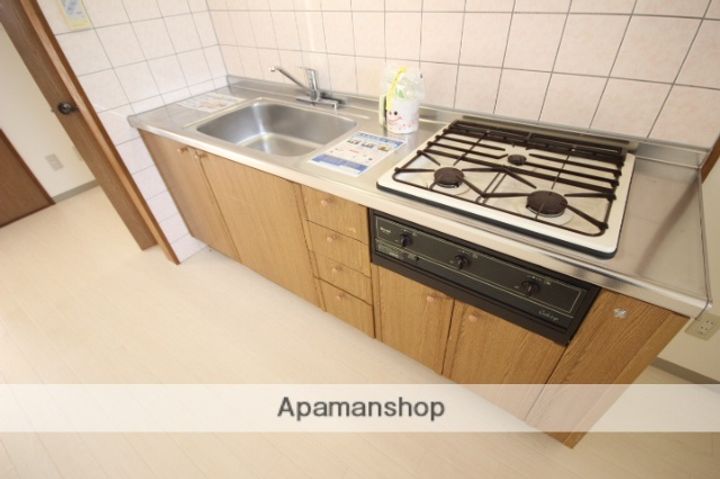 広島県広島市安佐南区東原1丁目の賃貸マンションの内装