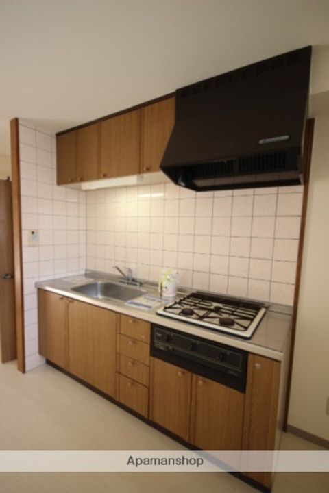 広島県広島市安佐南区東原1丁目の賃貸マンションのキッチン