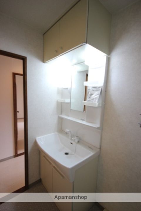 広島県広島市安佐南区東原1丁目の賃貸マンションのその他画像