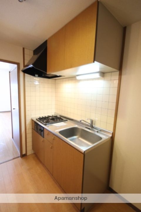 広島県広島市安佐南区大塚西3丁目の賃貸マンションのキッチン