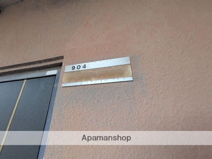 広島県広島市西区横川町2丁目の賃貸マンションの内装