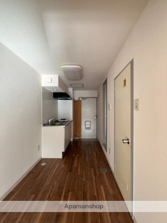 広島県広島市安佐南区古市4丁目の賃貸マンションの内装