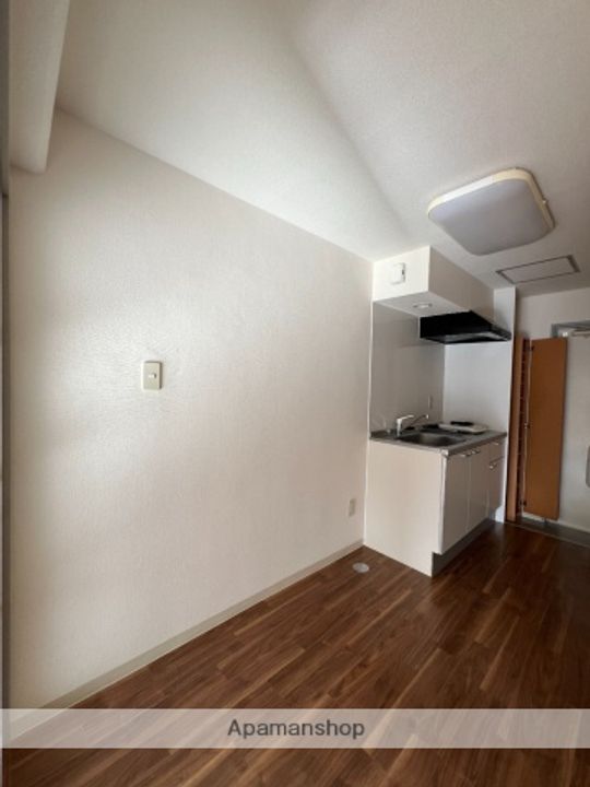 広島県広島市安佐南区古市4丁目の賃貸マンションの内装