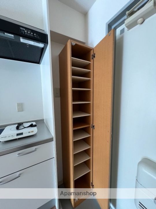 広島県広島市安佐南区古市4丁目の賃貸マンションの内装