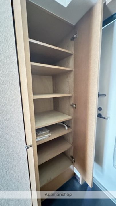 広島県広島市安佐南区中須1丁目の賃貸マンション201の内装