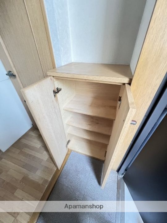 広島県広島市安佐南区高取北1丁目の賃貸マンションの内装