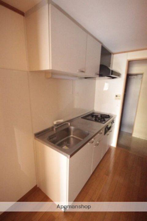 広島県広島市中区白島九軒町の賃貸マンションの内装