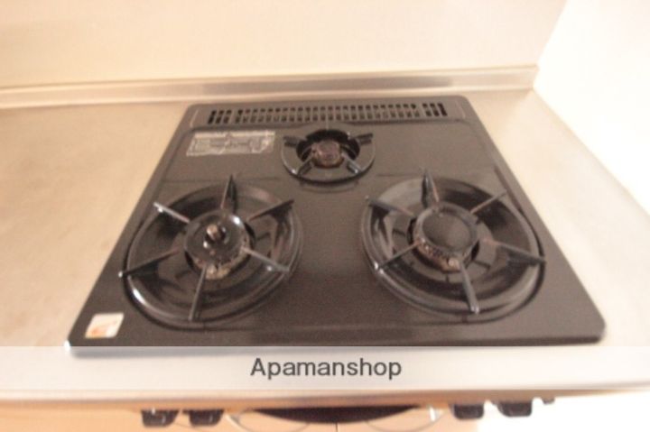 広島県広島市中区白島九軒町の賃貸マンションの内装