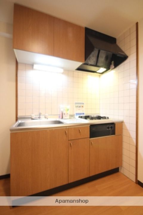 広島県広島市西区己斐西町の賃貸マンションのキッチン