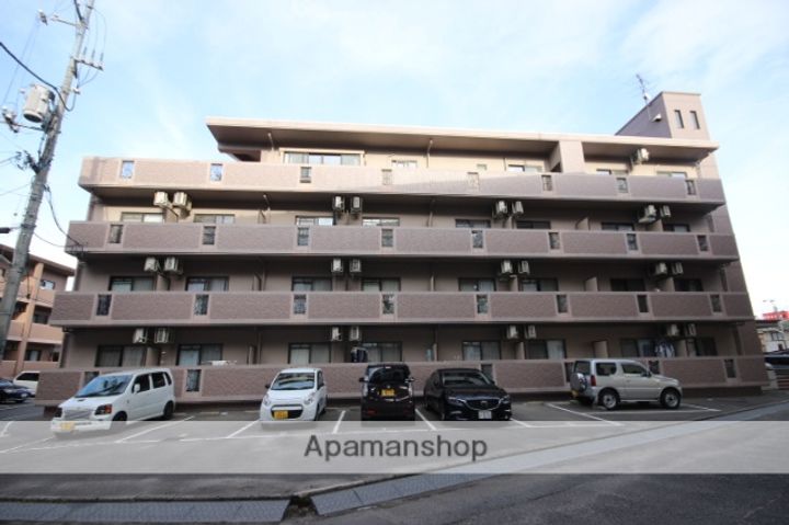 広島県広島市西区己斐西町の賃貸マンションの外観