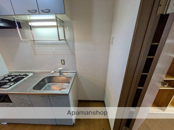 広島県広島市安佐南区長束西2丁目の賃貸アパートの内装