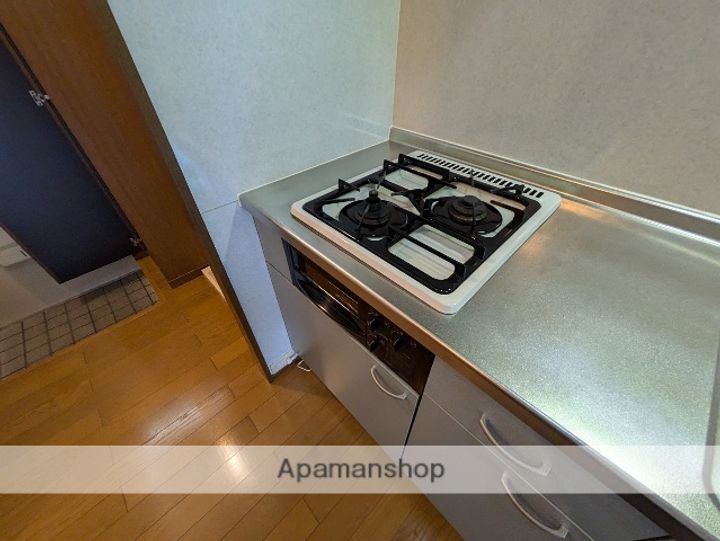 広島県広島市安佐南区長束西2丁目の賃貸アパートの内装