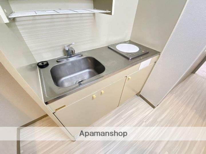 広島県広島市安佐南区伴中央4丁目の賃貸マンションの内装