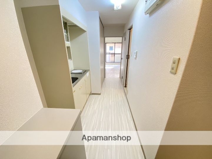 広島県広島市安佐南区伴中央4丁目の賃貸マンションの内装