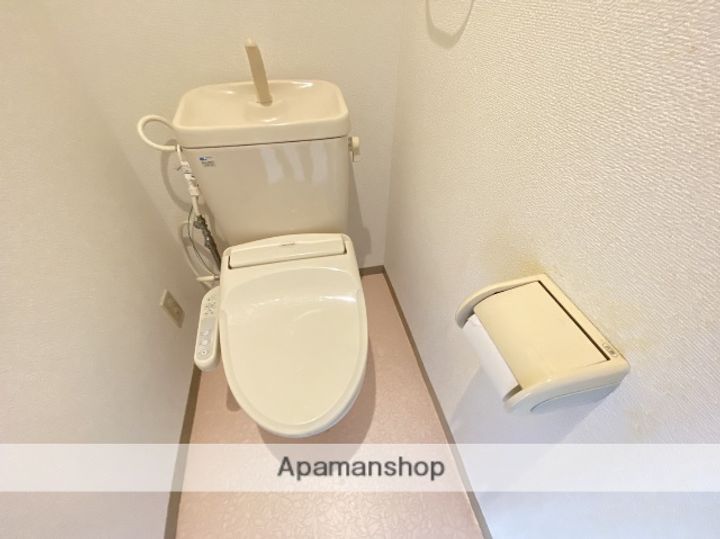 広島県広島市安佐南区伴中央4丁目の賃貸マンションの内装