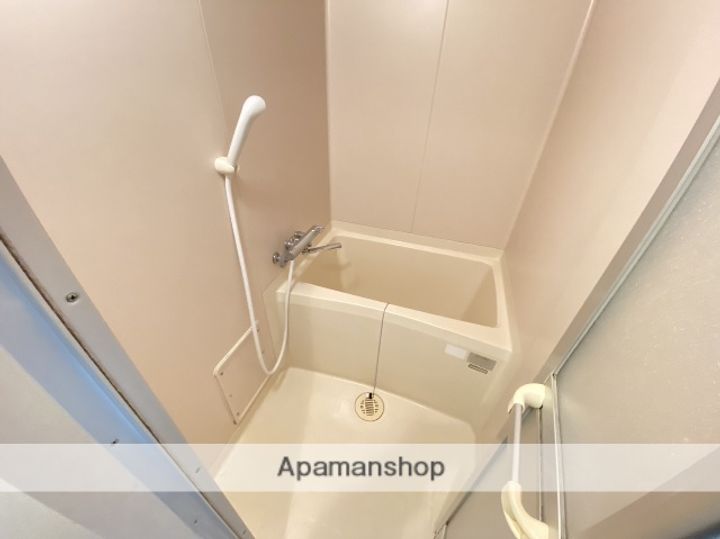 広島県広島市安佐南区伴中央4丁目の賃貸マンションの風呂