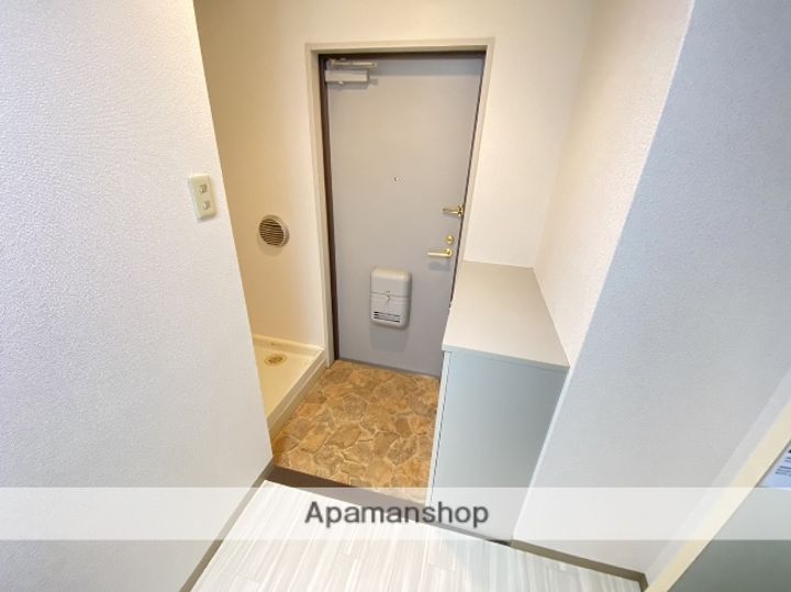 広島県広島市安佐南区伴中央4丁目の賃貸マンションの玄関