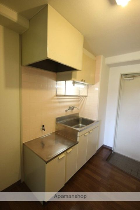 広島県広島市安佐南区東野1丁目の賃貸マンションのキッチン