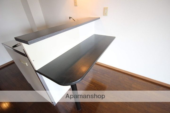 広島県広島市中区東平塚町の賃貸マンションの内装