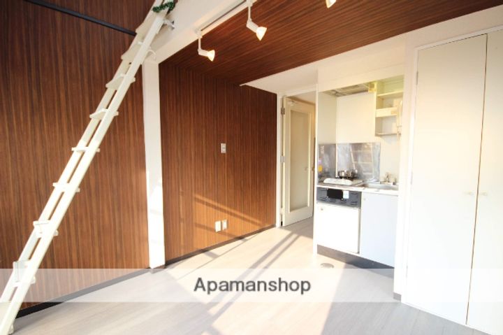 広島県広島市中区光南3丁目の賃貸マンションの内装