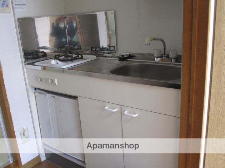 広島県広島市中区本川町1丁目の賃貸マンションのキッチン