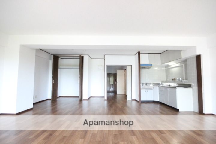 広島県広島市西区古江西町の賃貸マンションの居間