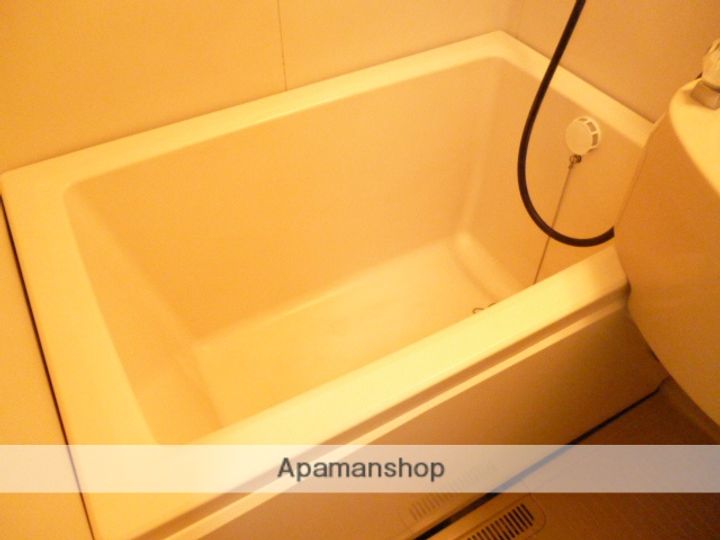 広島県広島市安佐南区安東1丁目の賃貸アパートの風呂