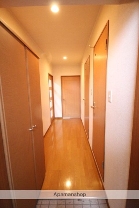 広島県広島市安佐南区西原2丁目の賃貸マンションの内装