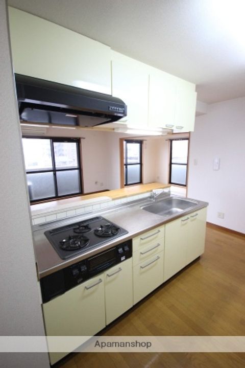 広島県広島市安佐南区西原2丁目の賃貸マンションのキッチン