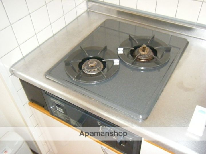 広島県広島市西区三滝町の賃貸マンションのキッチン