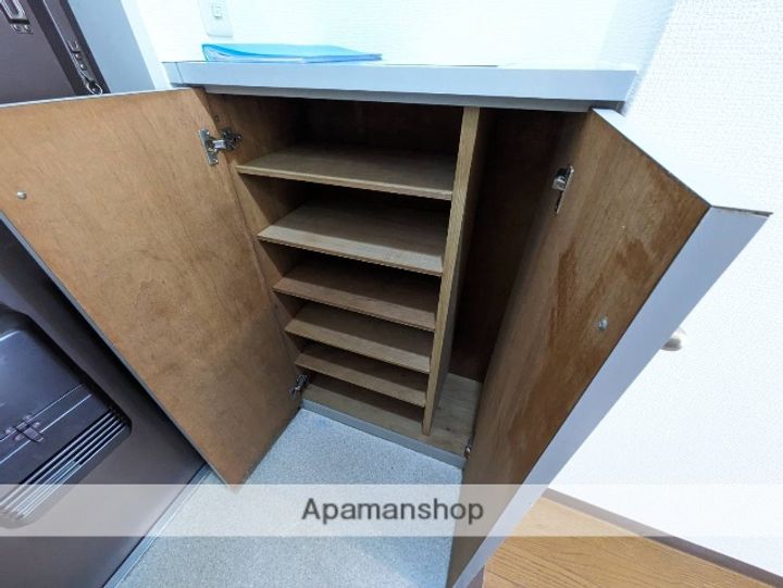 広島県広島市安佐南区伴東3丁目の賃貸マンションの内装