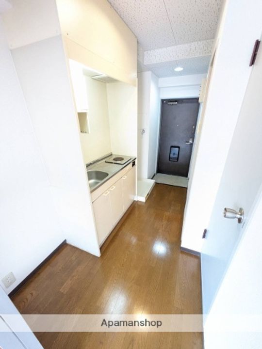 広島県広島市安佐南区伴東3丁目の賃貸マンションの内装