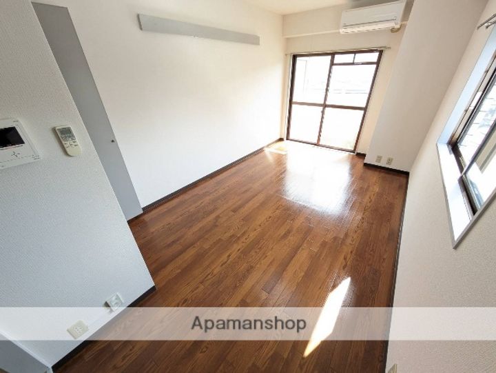 広島県広島市安佐南区伴東3丁目の賃貸マンションの内装