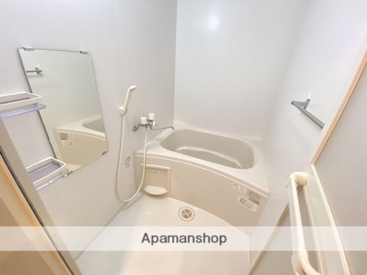 広島県広島市安佐南区安東6丁目の賃貸マンションの風呂