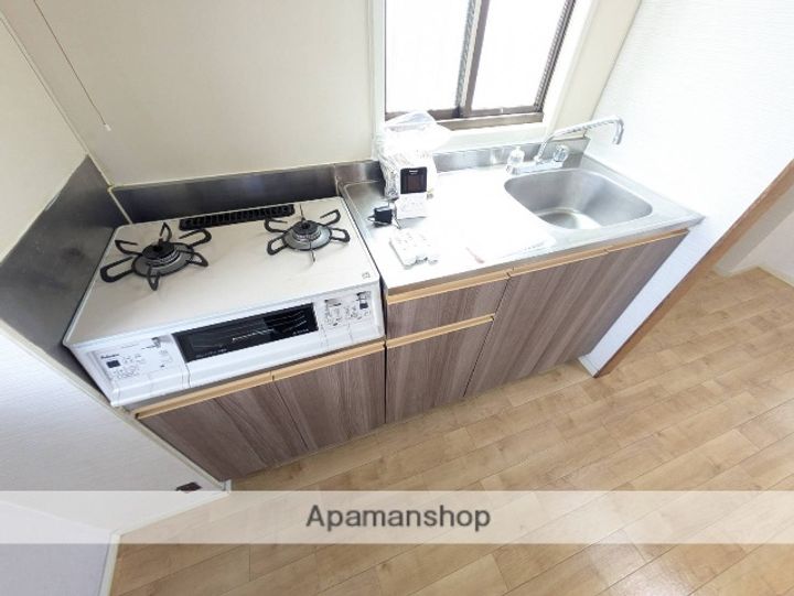 広島県広島市安佐南区川内2丁目の賃貸マンションの内装