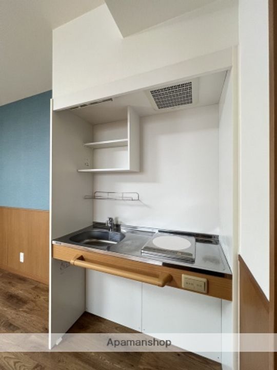 広島県広島市安佐南区大町東1丁目の賃貸マンションのキッチン