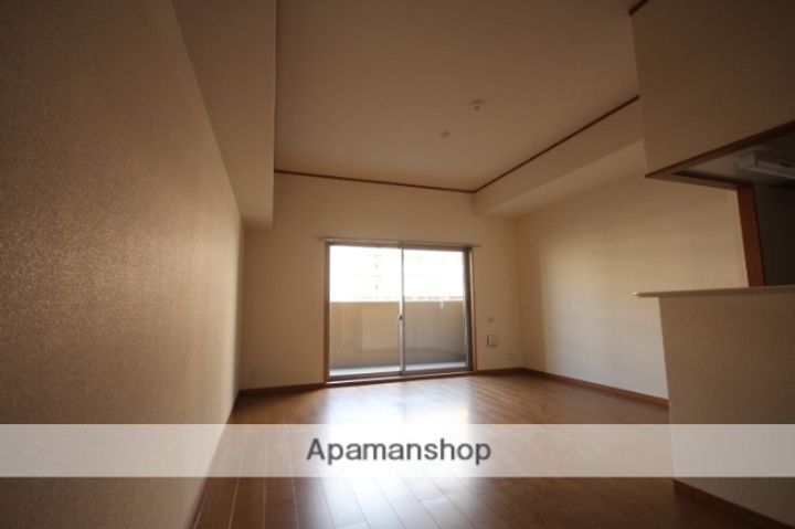 広島県広島市中区宝町の賃貸マンションの内装